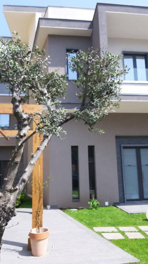 זפראנה אטניאה Anna & Alfredo Bed And Breakfast מראה חיצוני תמונה