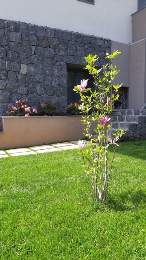 זפראנה אטניאה Anna & Alfredo Bed And Breakfast מראה חיצוני תמונה